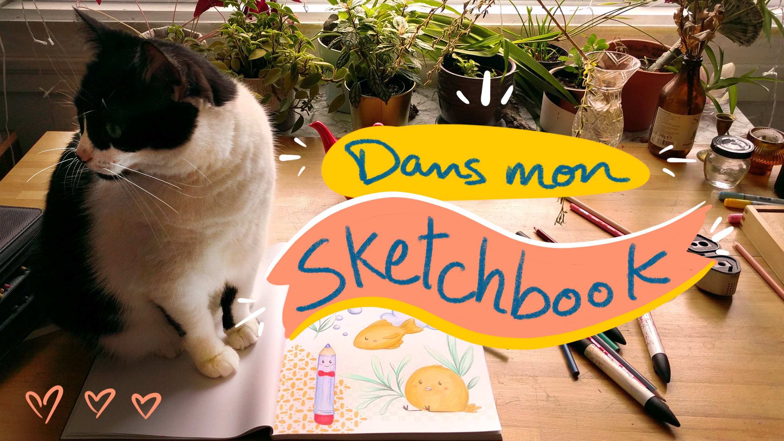 carnet de dessin et chat sur une table